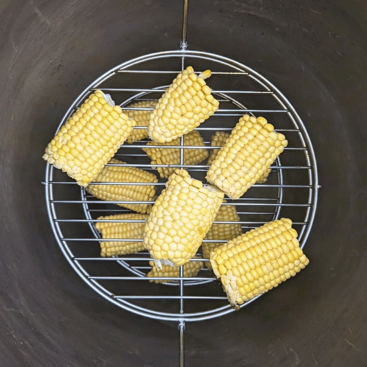 Tandoor BBQ grill tray