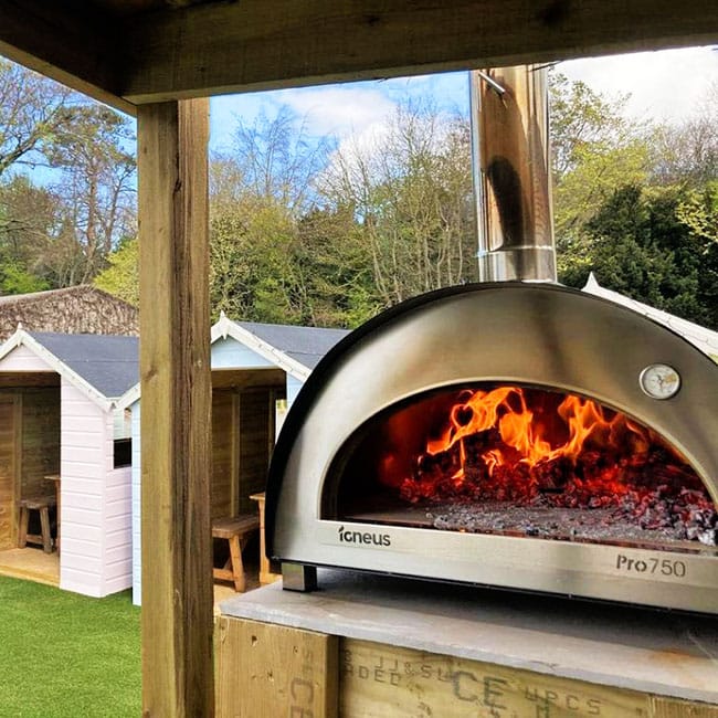 IGNEUS Igneus Pro 750 Wood Fired Pizza Oven