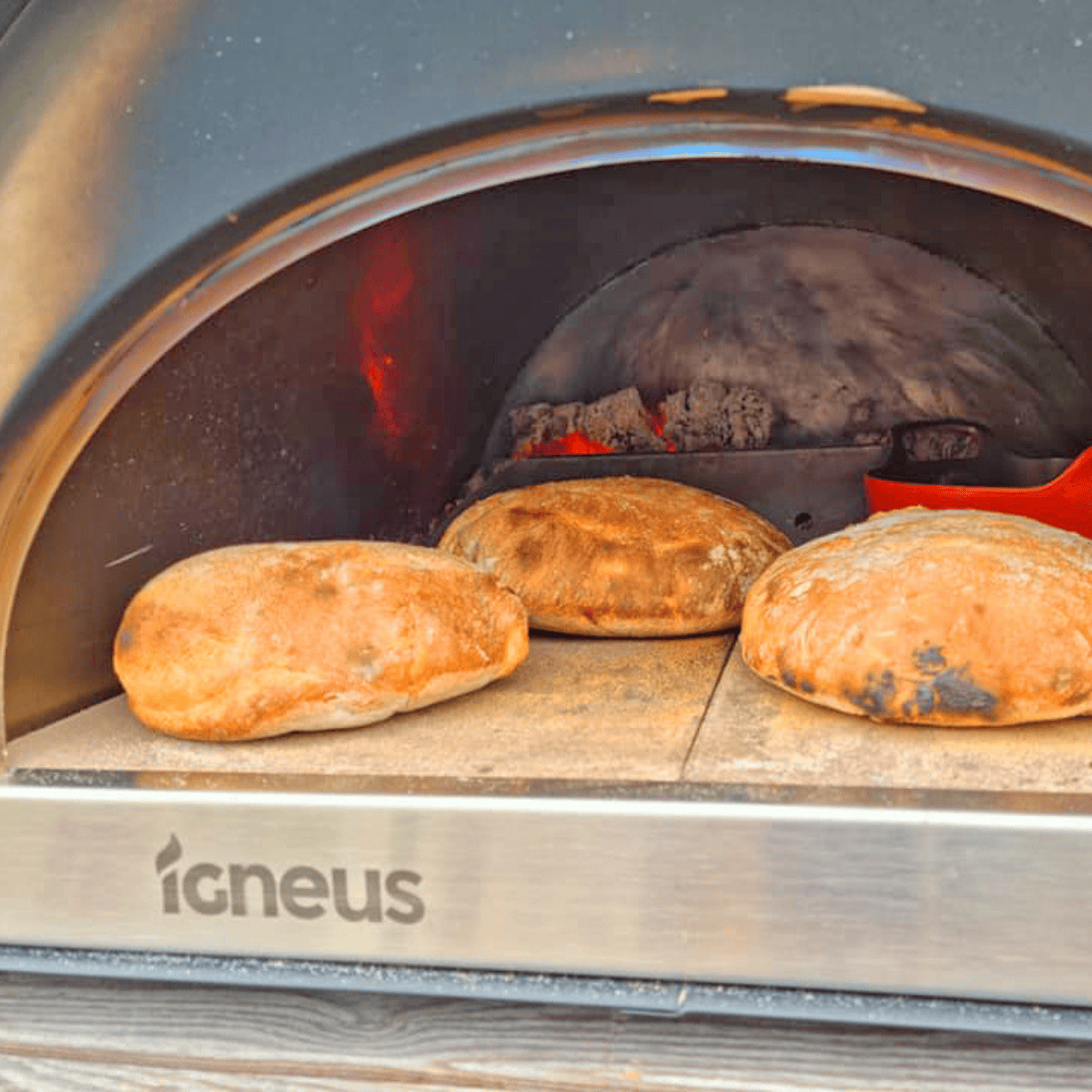 IGNEUS Igneus Classico  | wood fired pizza oven