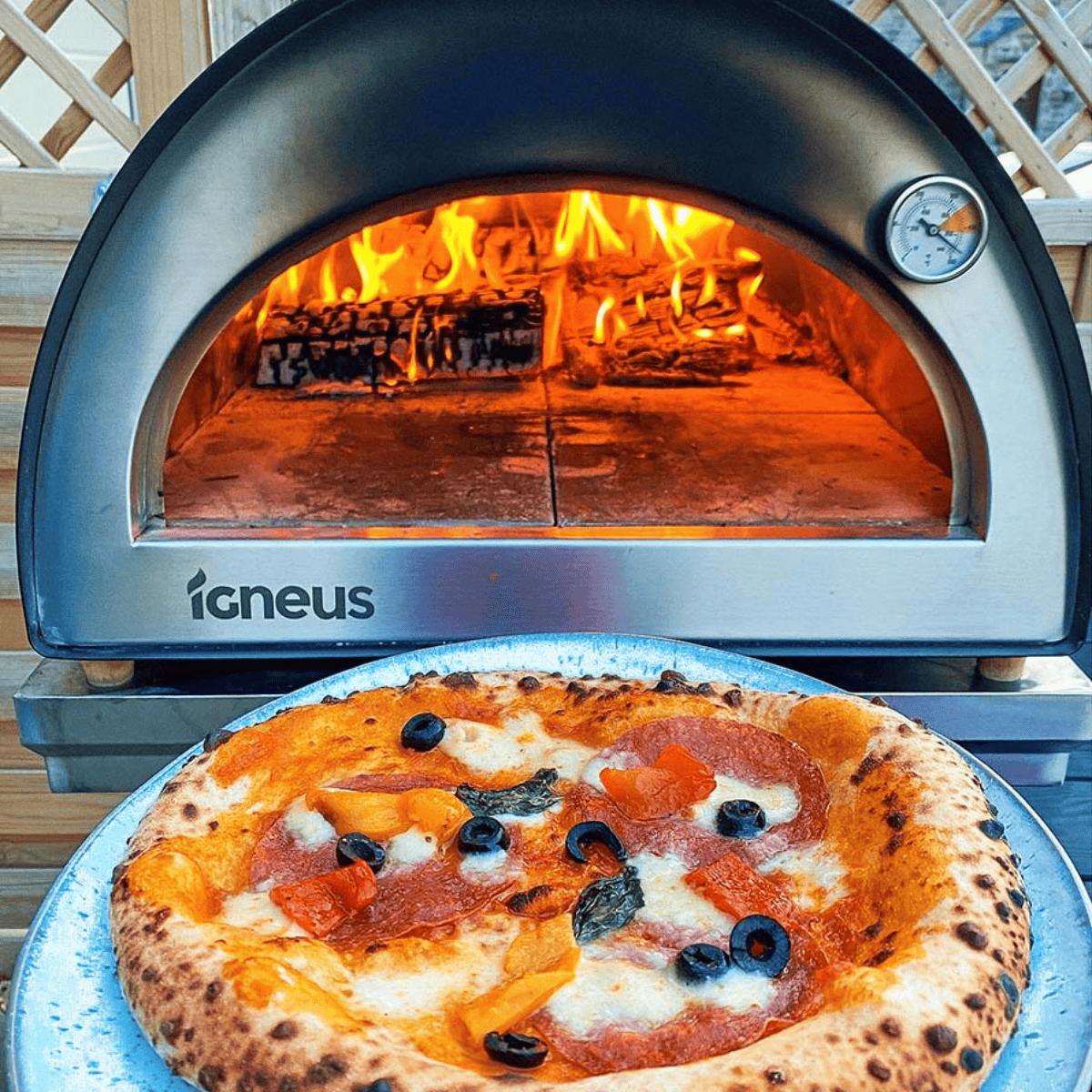 IGNEUS Igneus Classico  | wood fired pizza oven