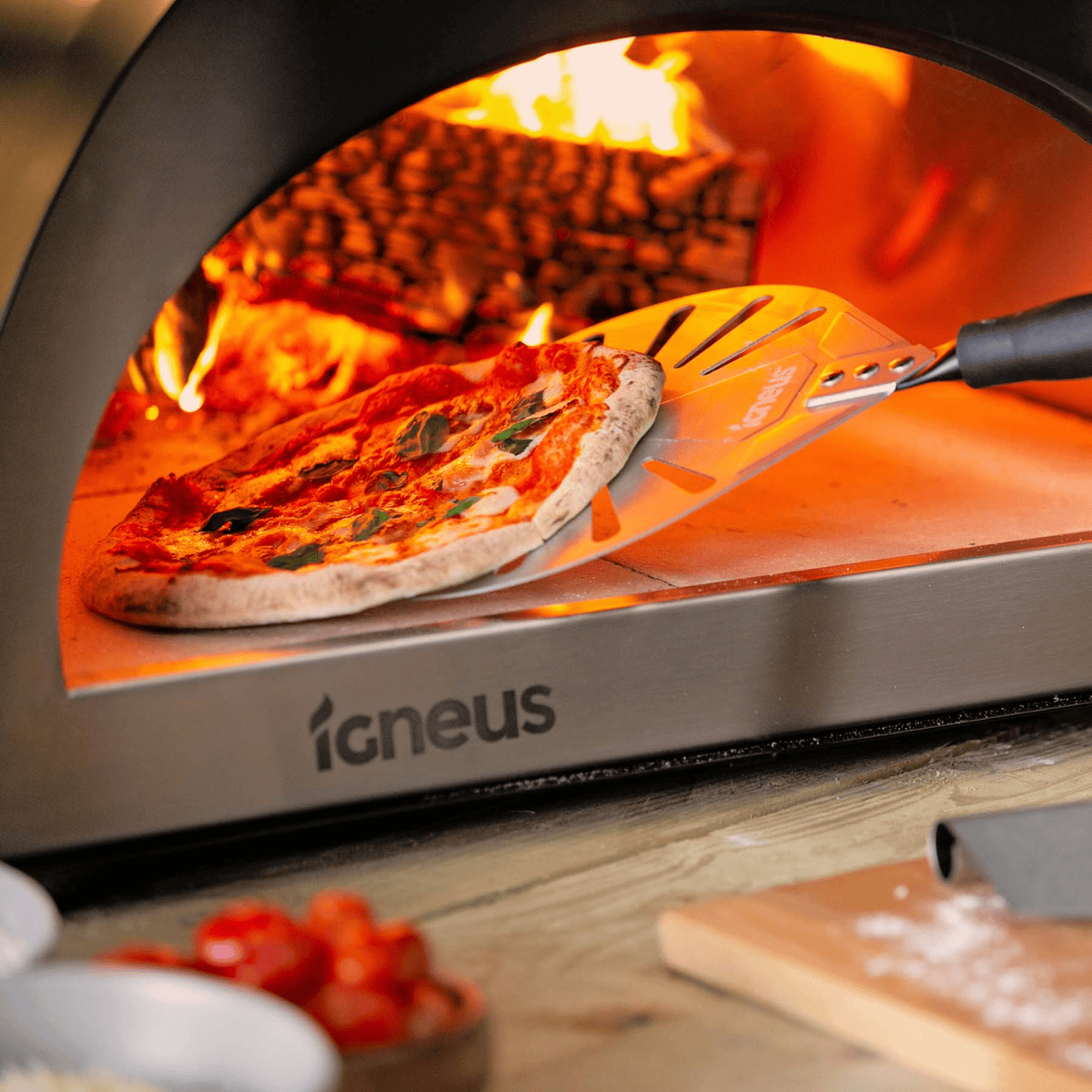 IGNEUS Igneus Pro 600 | wood fired pizza oven Bundle