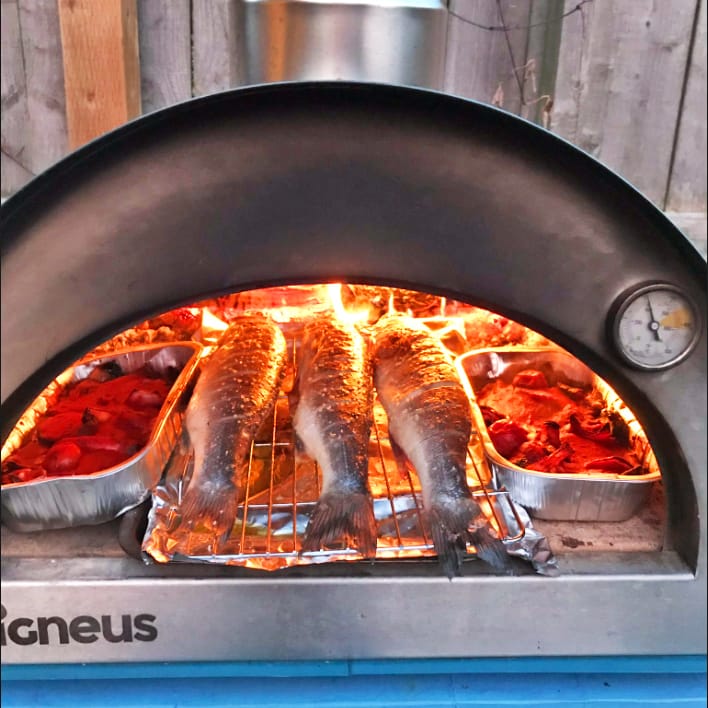 IGNEUS Igneus Classico wood fired pizza oven